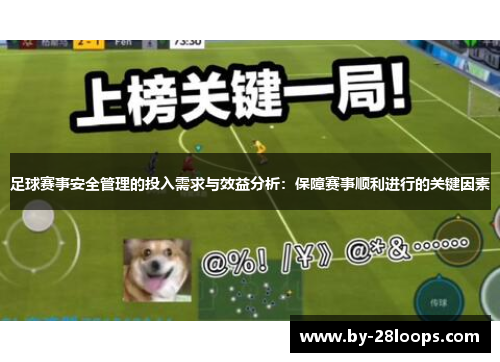 足球赛事安全管理的投入需求与效益分析：保障赛事顺利进行的关键因素