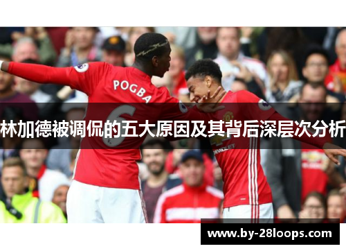 林加德被调侃的五大原因及其背后深层次分析