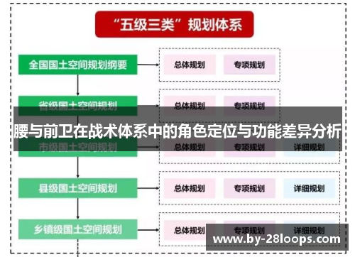 腰与前卫在战术体系中的角色定位与功能差异分析