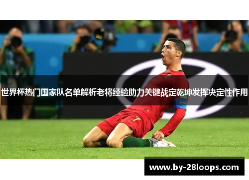 世界杯热门国家队名单解析老将经验助力关键战定乾坤发挥决定性作用