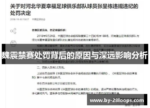 魏震禁赛处罚背后的原因与深远影响分析