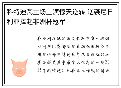 科特迪瓦主场上演惊天逆转 逆袭尼日利亚捧起非洲杯冠军